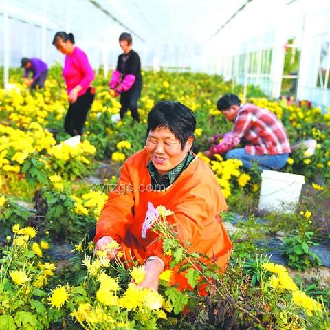 2025高考数学安心课：掌握解题技巧，轻松备考
